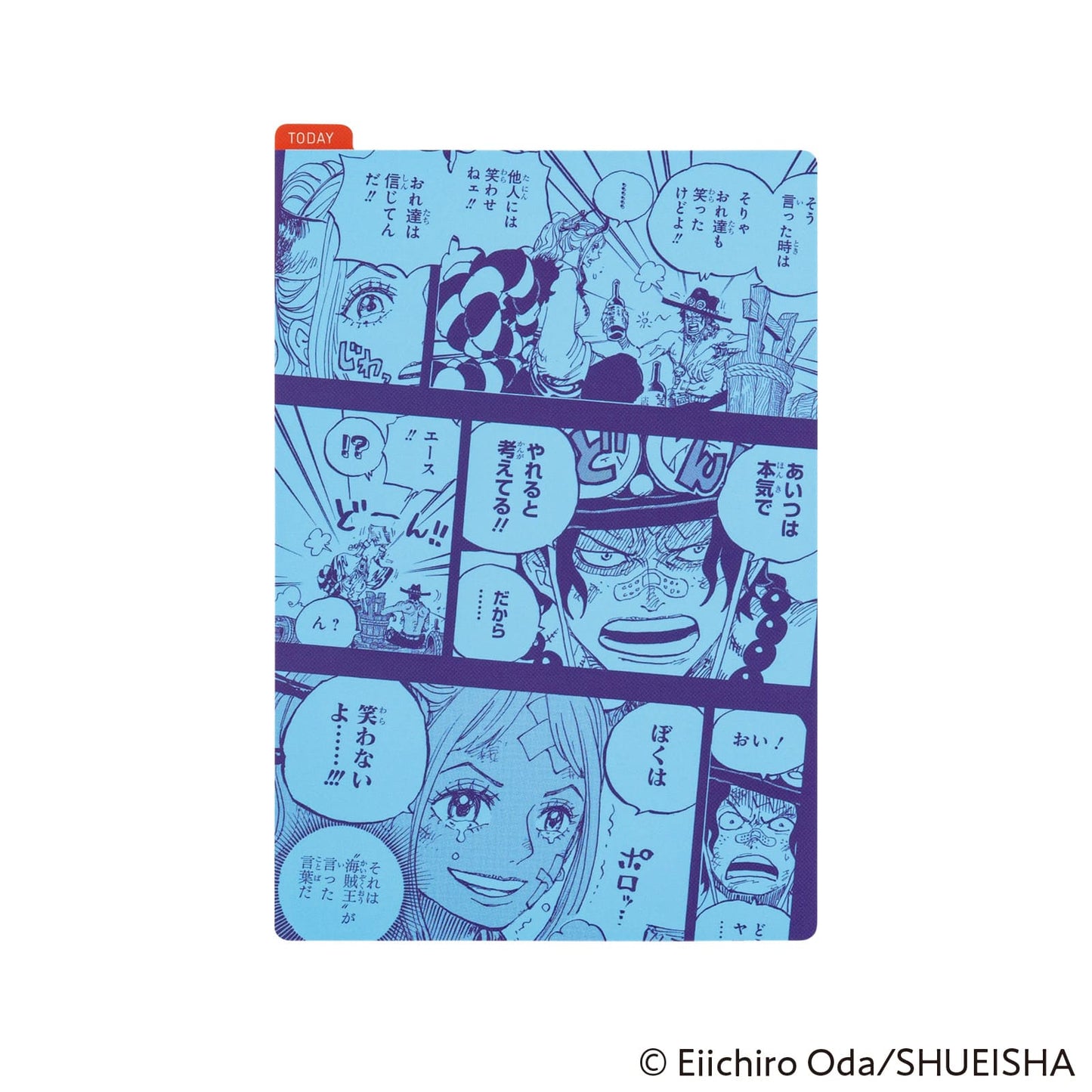 Hobonichi - Pencil Board | ONE PIECE Magazine 2025 (Memories)
