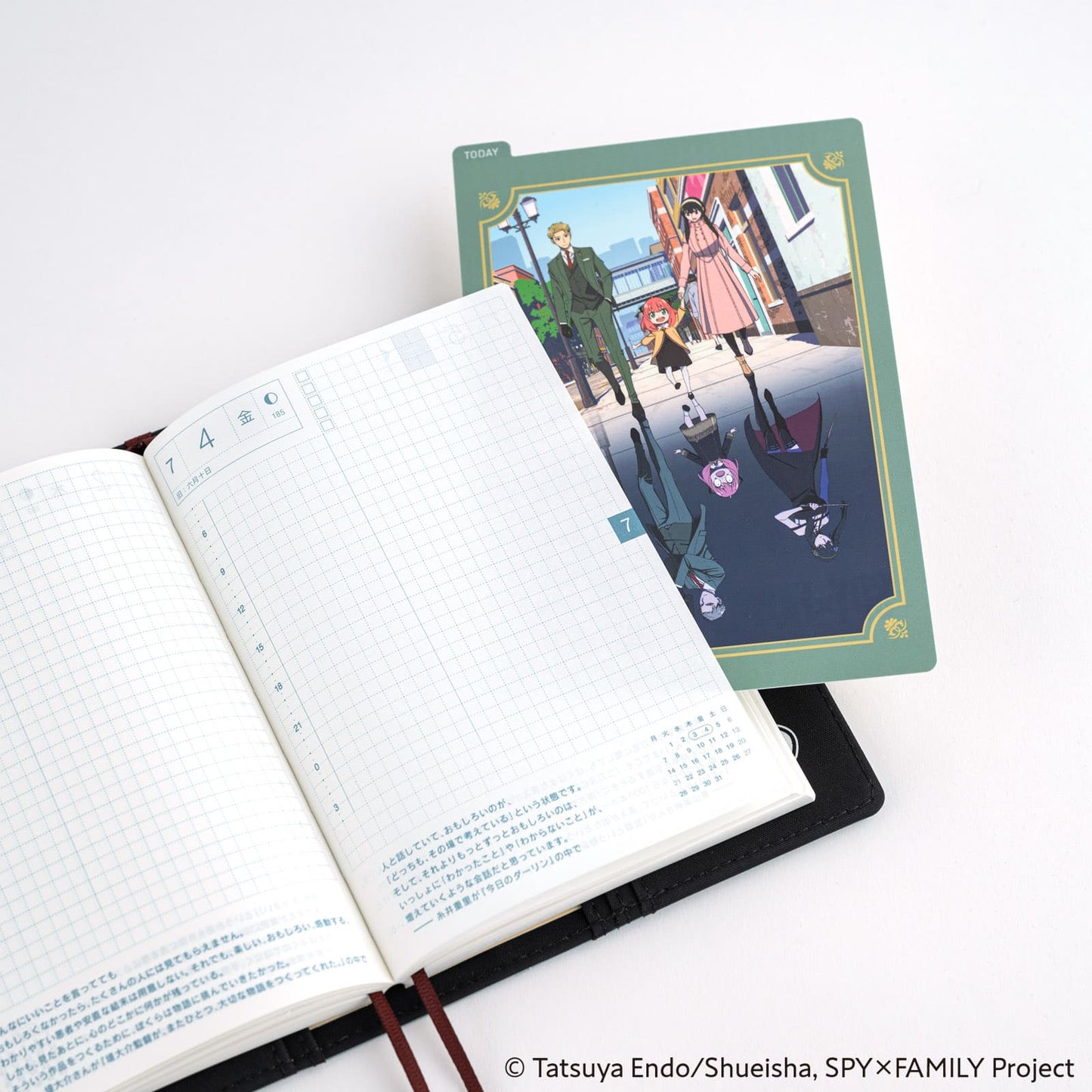 Hobonichi - Pencil Board | SPY x FAMILY