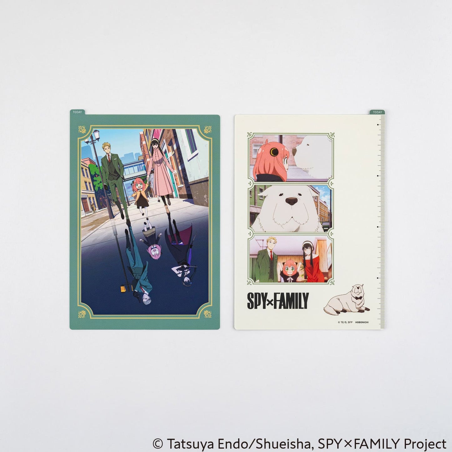 Hobonichi - Pencil Board | SPY x FAMILY