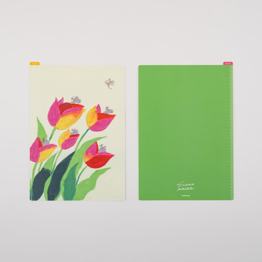 Hobonichi - Pencil Board | Keiko Shibata