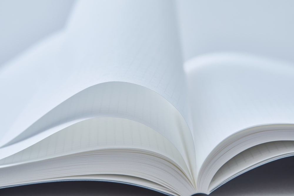 Stalogy - 1/2 Year Notebook - B6