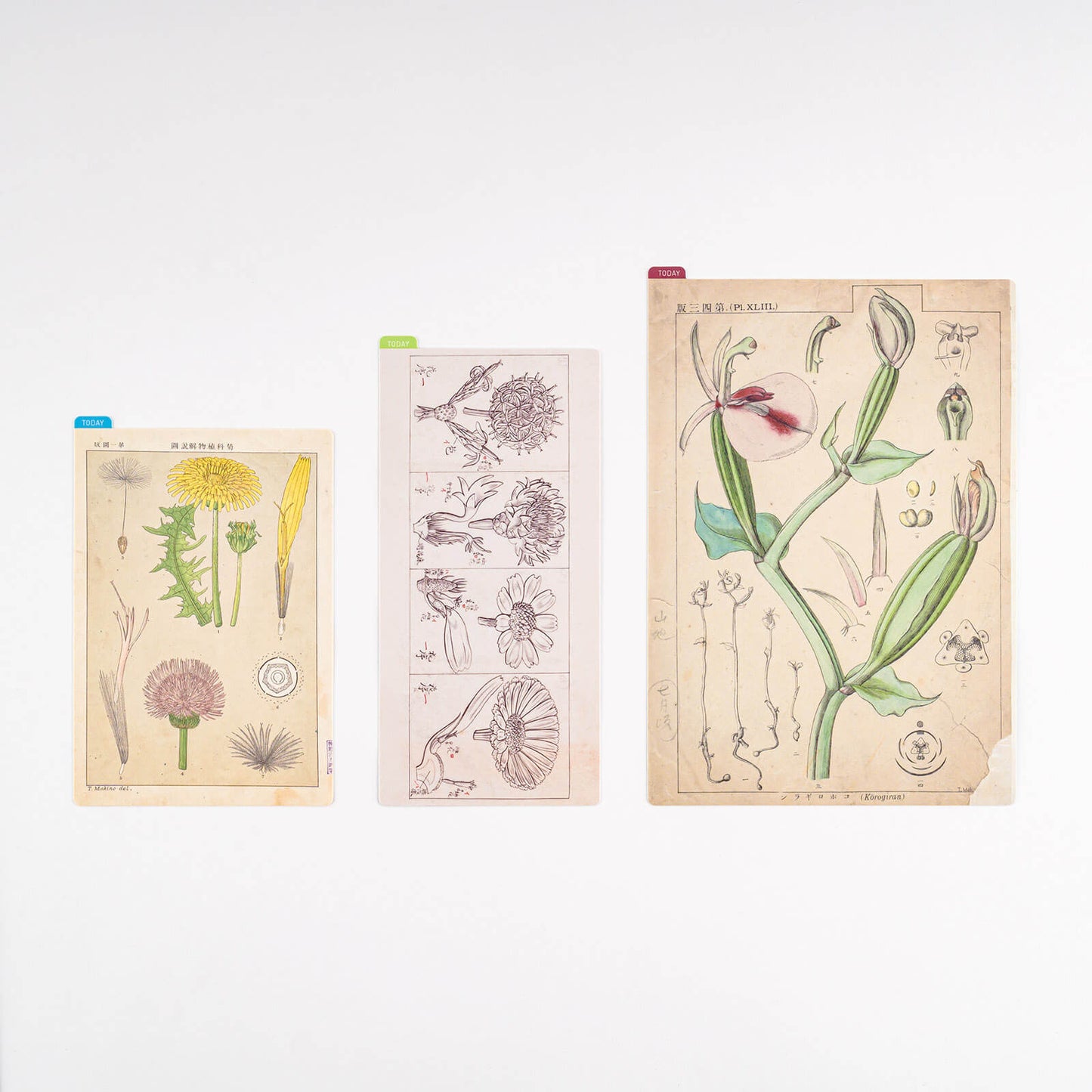 Hobonichi - Pencil Board | Tomitaro Makino