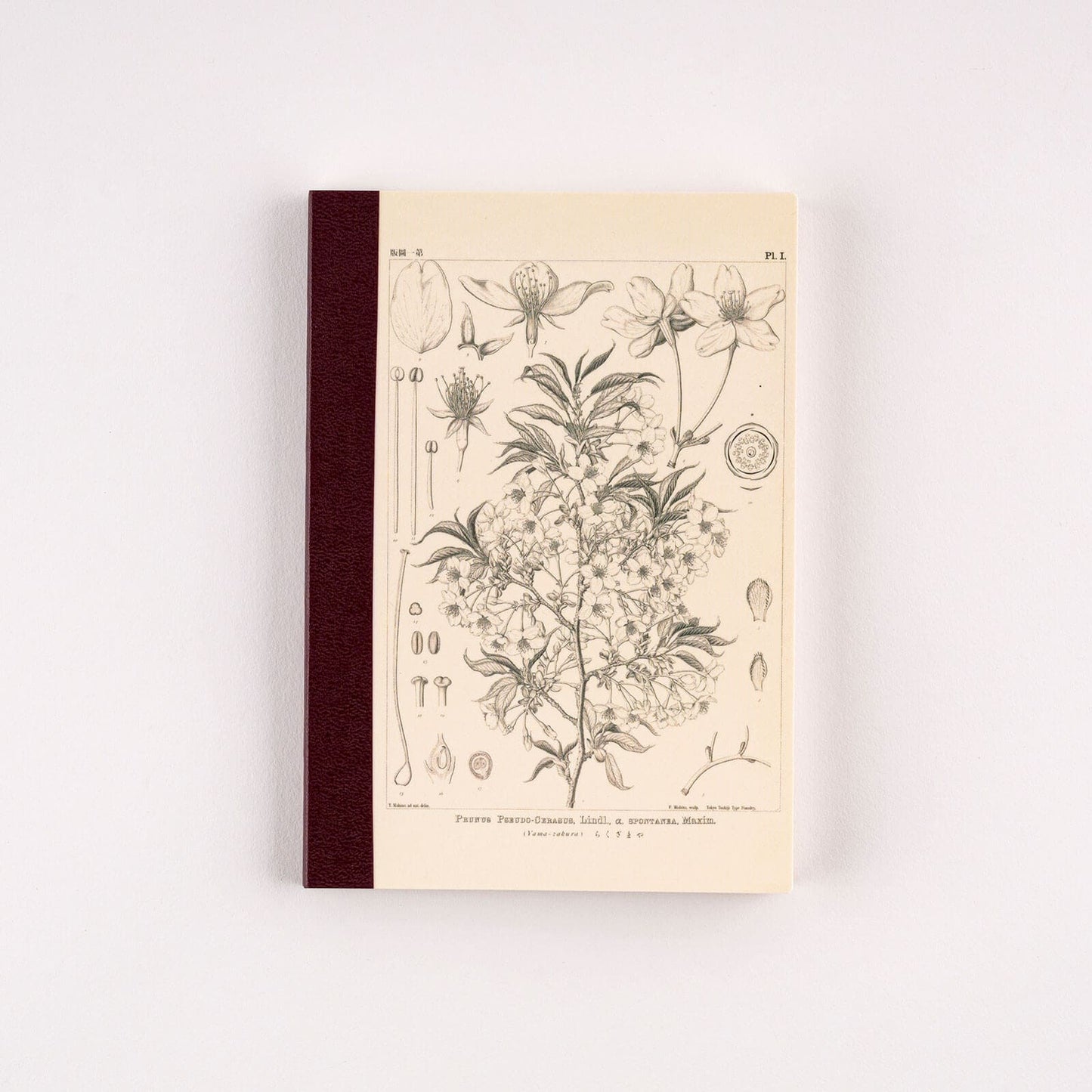 Hobonichi - Graph Notebook | Tomitaro Makino Yamazakura