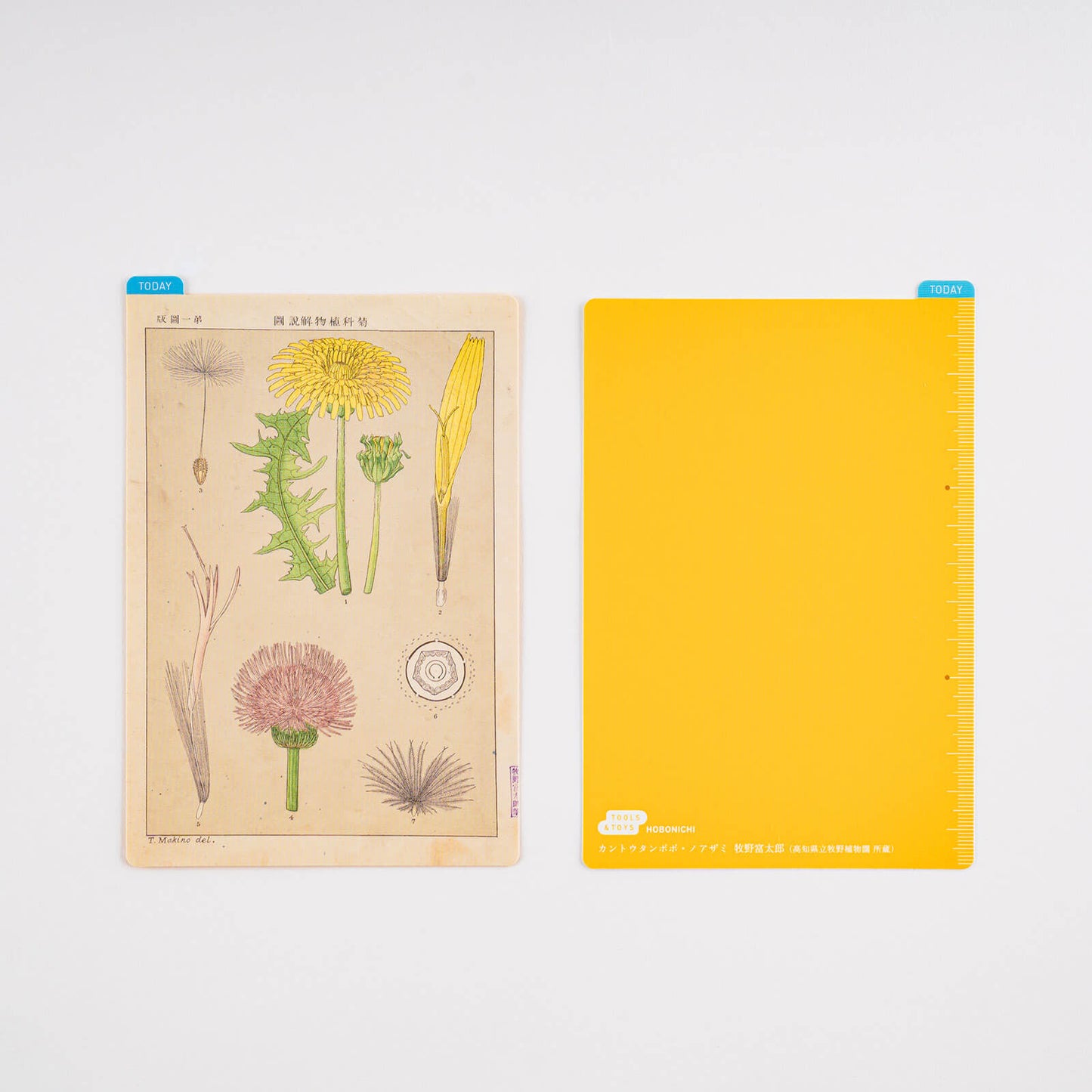 Hobonichi - Pencil Board | Tomitaro Makino