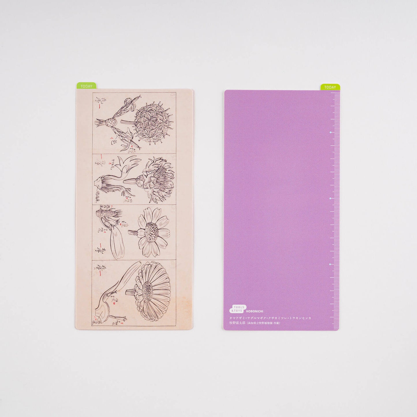 Hobonichi - Pencil Board | Tomitaro Makino