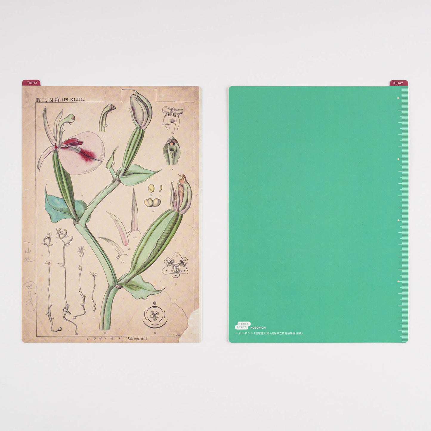 Hobonichi - Pencil Board | Tomitaro Makino