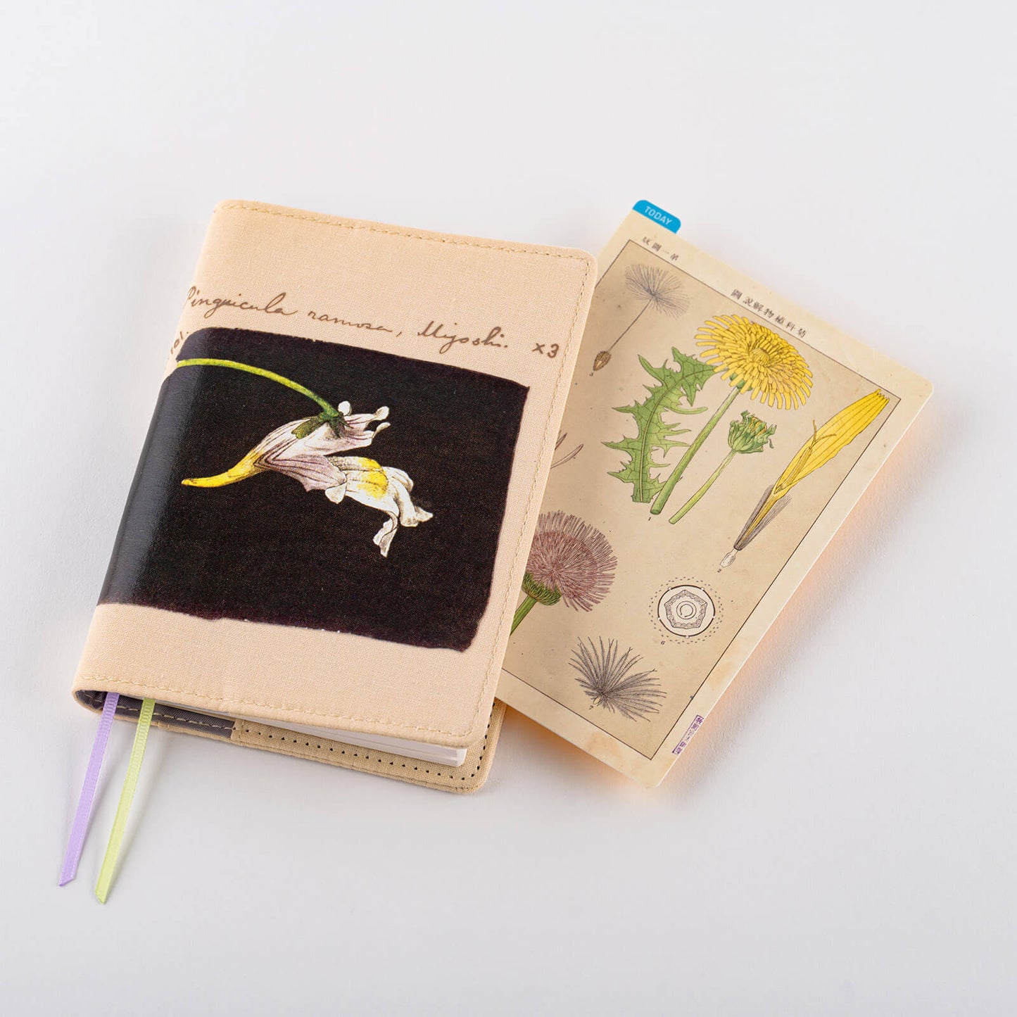 Hobonichi - Pencil Board | Tomitaro Makino