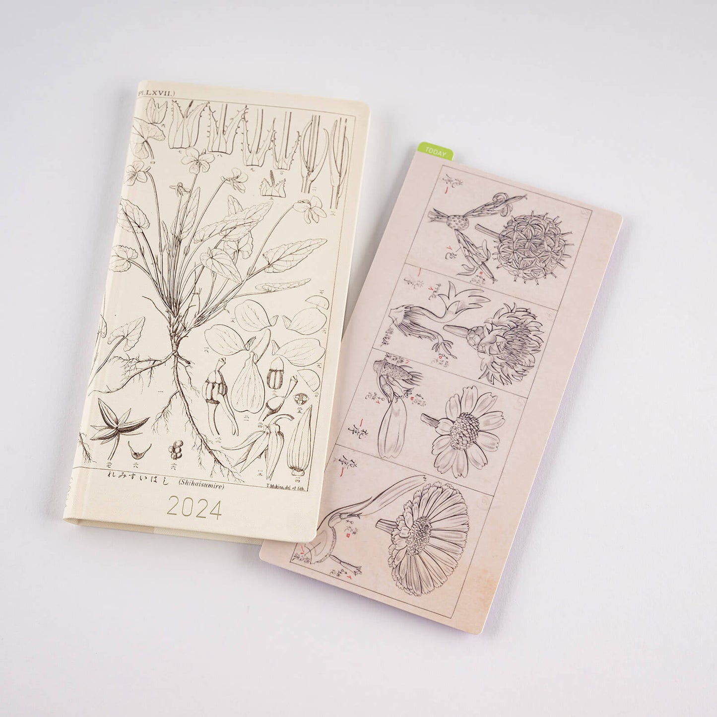 Hobonichi - Pencil Board | Tomitaro Makino