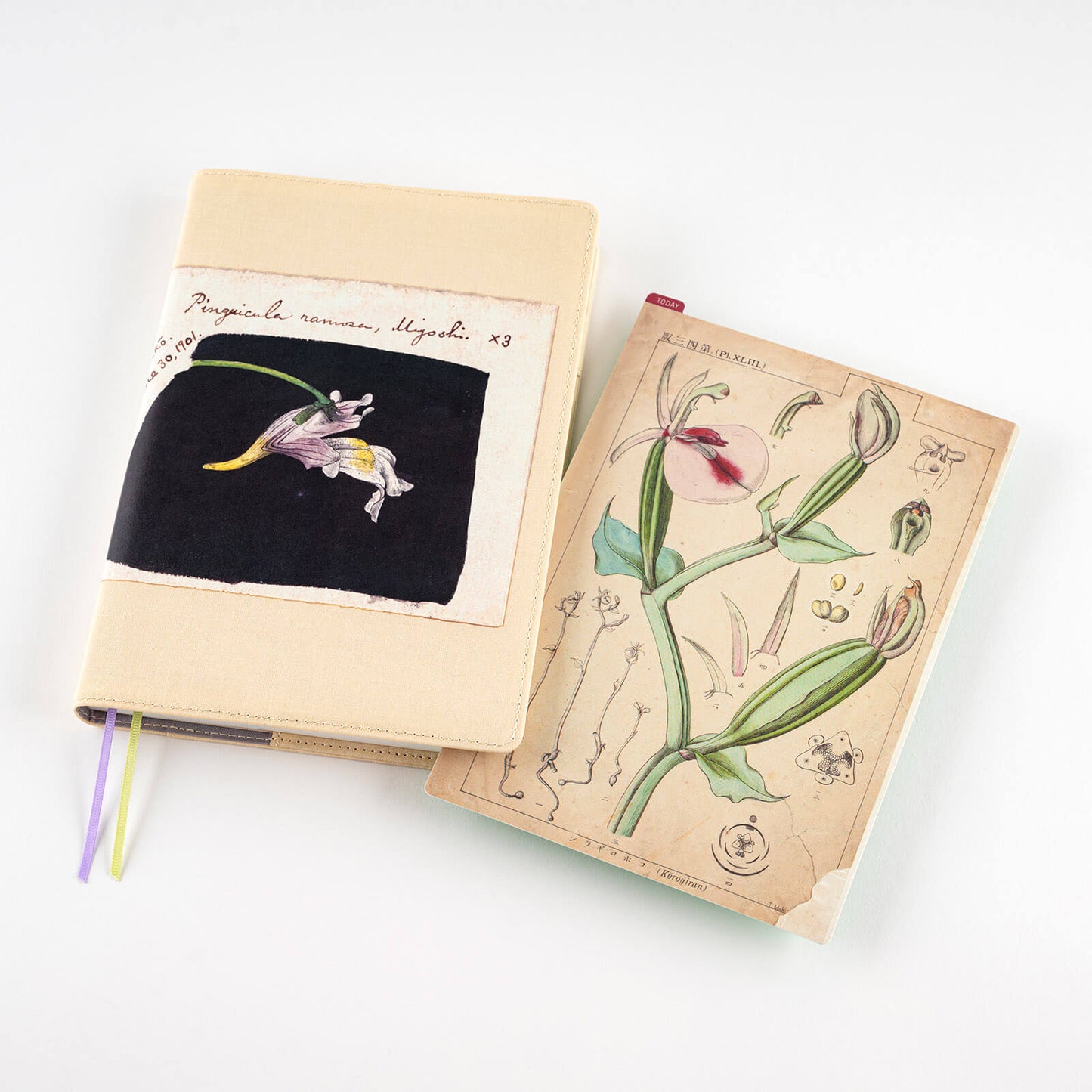 Hobonichi - Pencil Board | Tomitaro Makino