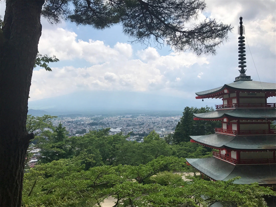 A (Less than Successful) Trip to see Mount Fuji