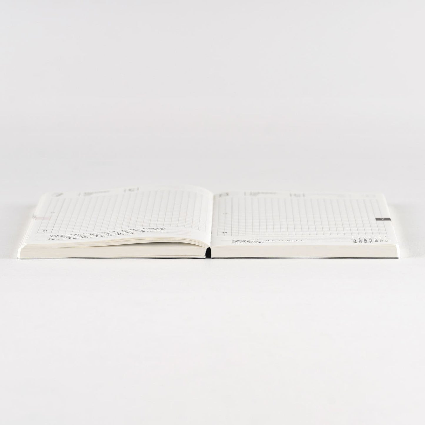 Hobonichi - 2025 Techo Planner Book | A6 English