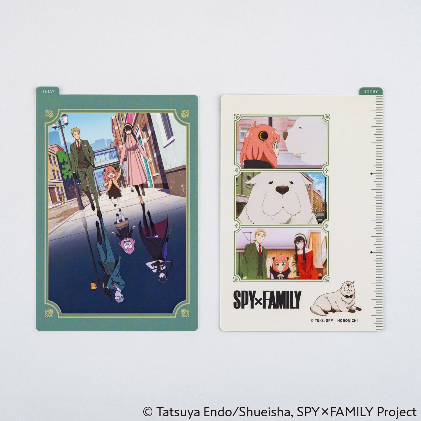 Hobonichi  -  Pencil Board | SPY x FAMILY