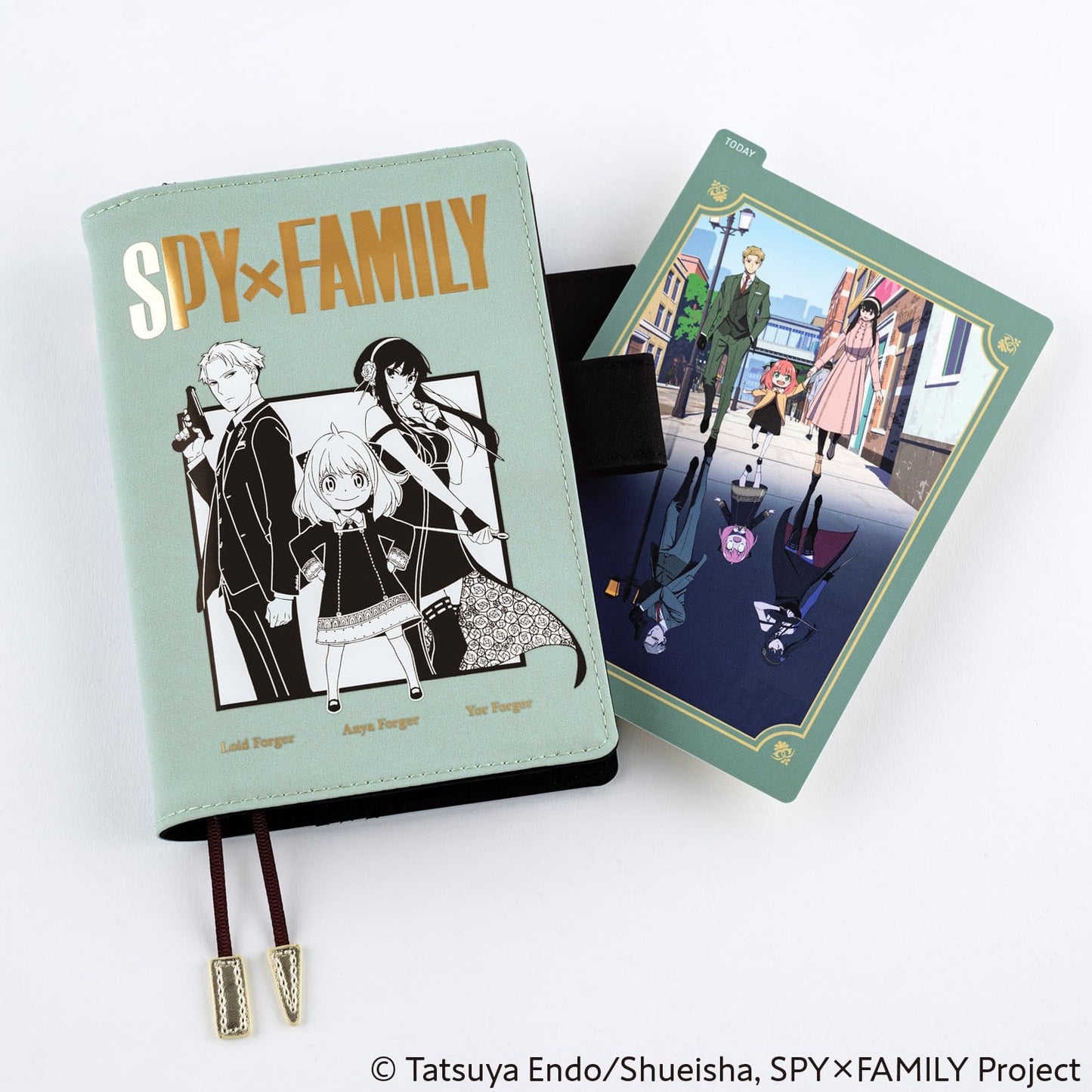 Hobonichi  -  Pencil Board | SPY x FAMILY