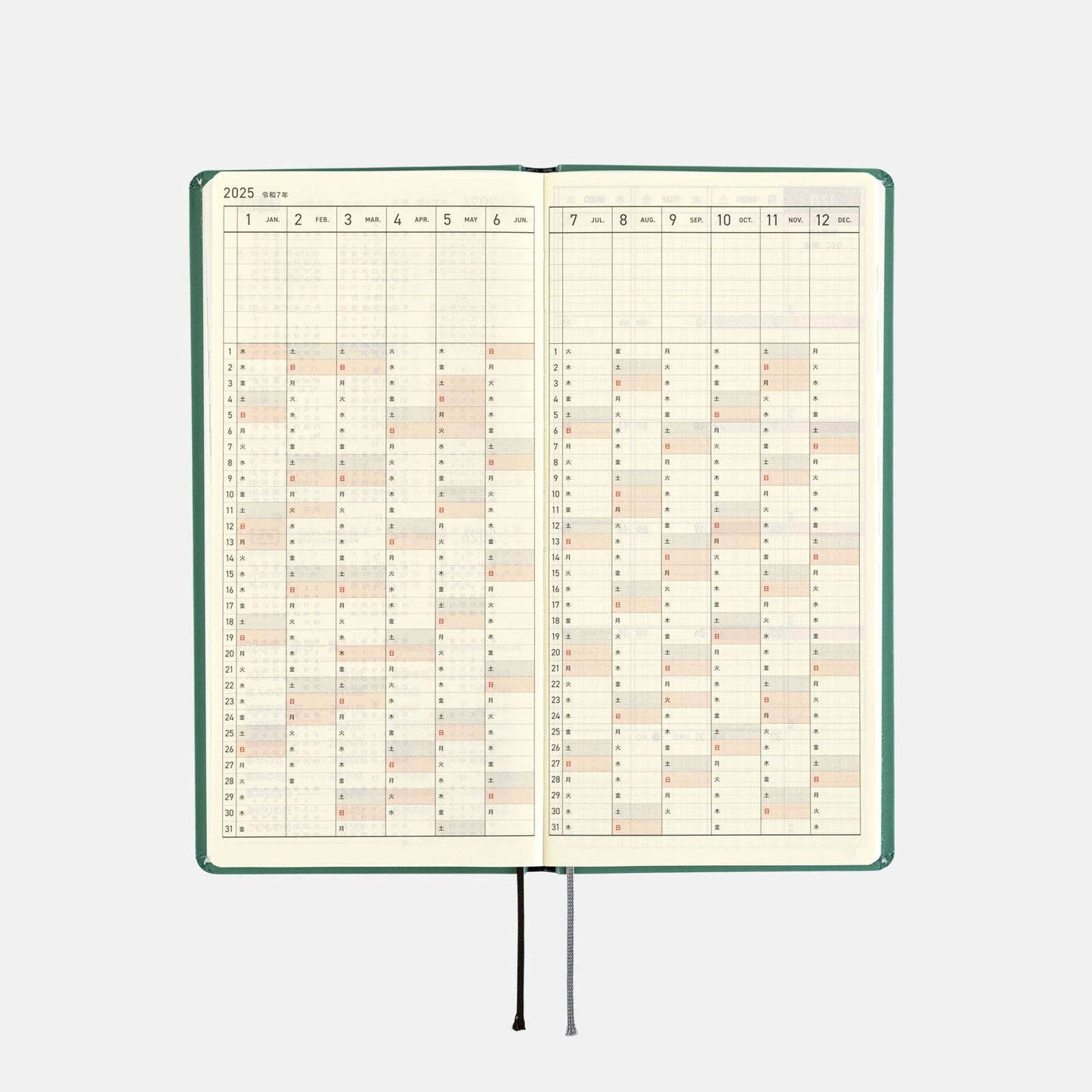 Hobonichi - 2025 Weeks, SPY x FAMILY: Forger Family | English