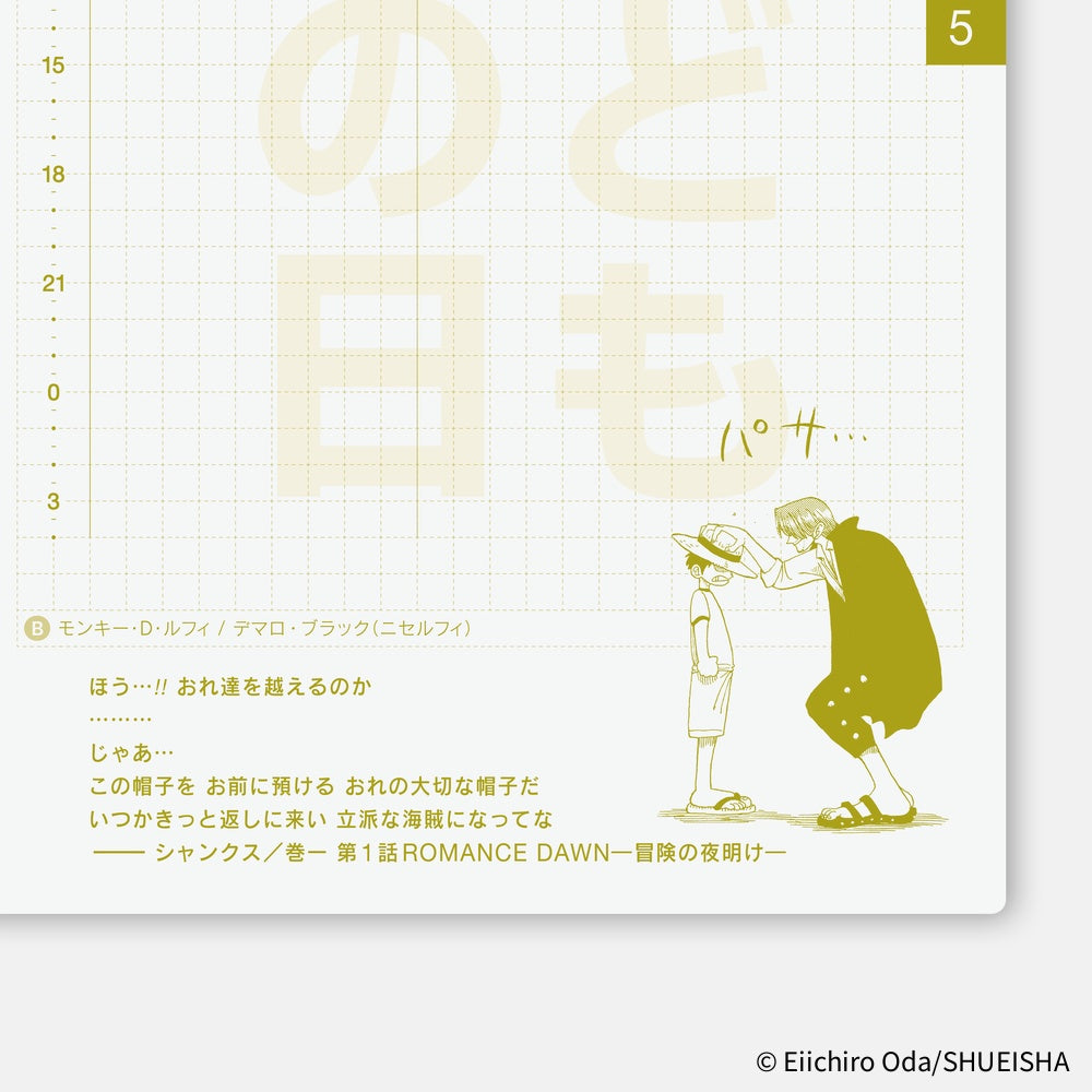 [Pre-Order] Hobonichi - 2026 ONE PIECE Magazine Techo Book | A6 Japanese