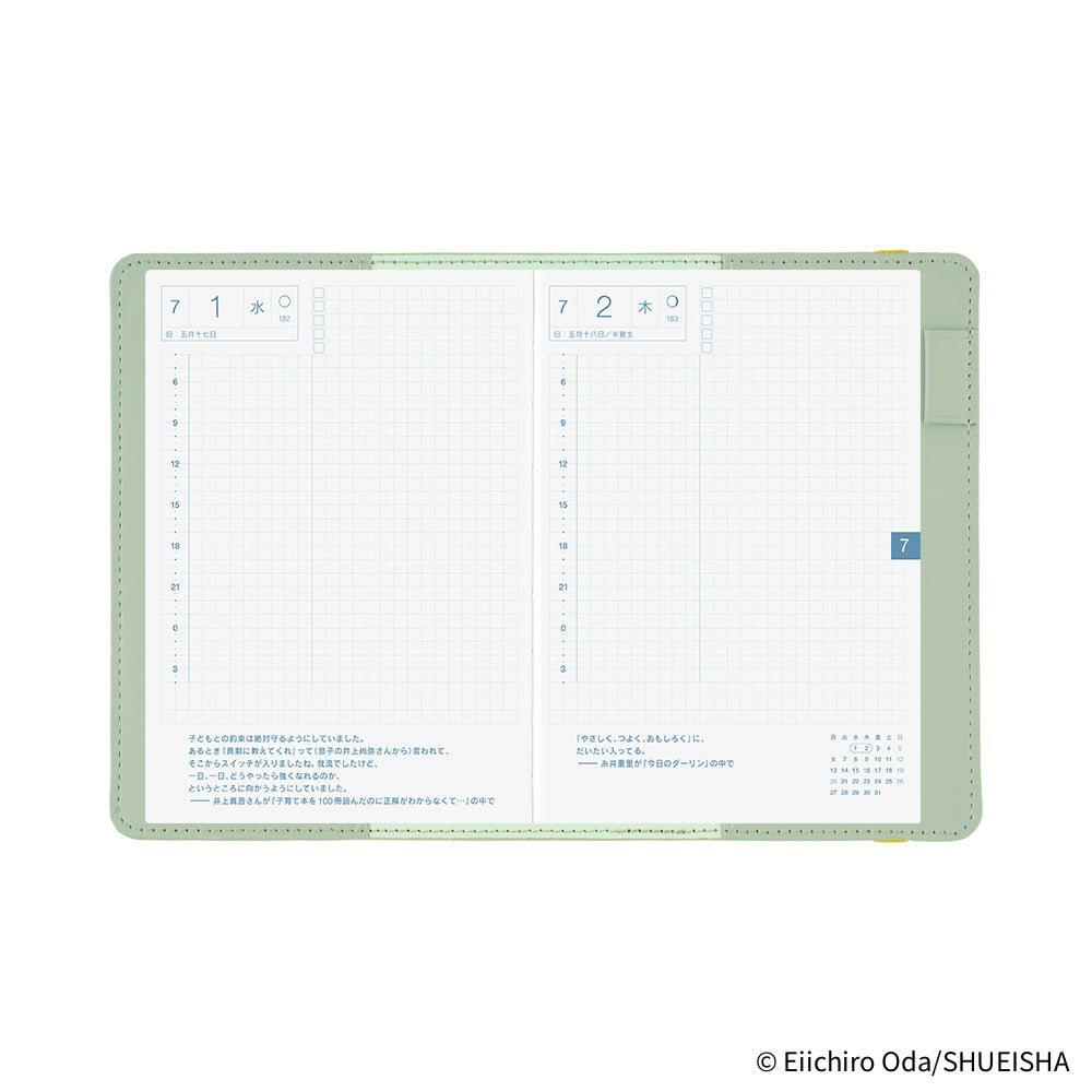 Hobonichi - ONE PIECE magazine:  End of Luffy’s Dream (Mint Green) | A6 Techo Cover