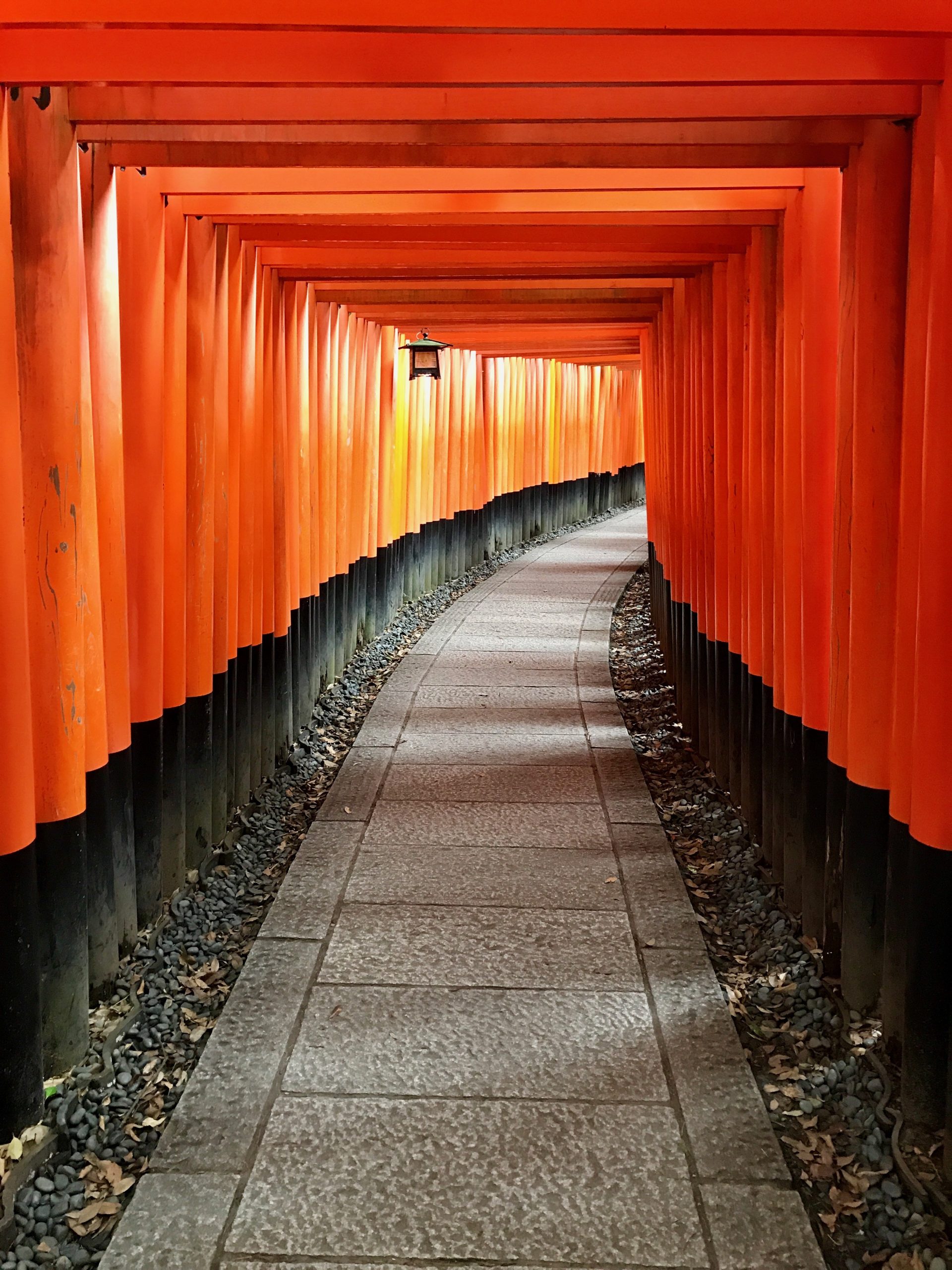 The Senbon Torii at Fushimi Inari Shrine