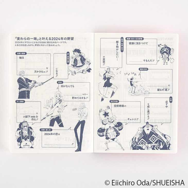 Hobonichi 2024 One Piece Techo
